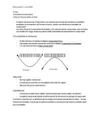 Estructuras a compresión