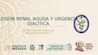 Lesión renal aguda en urgencias.