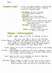 Es stellt die Theorie von Hurrelmann sehr gut dar und hilft hoffentlich ein Schaubild