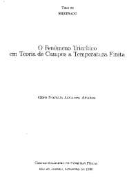 Notas sobre órbitas e teoria de campos