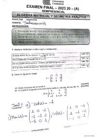 consolidado 1 algebra matricial y geometría analítica