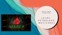 LEYES QUE SIGUE LA ORGANIZACION PEMEX