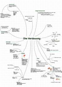 Die Verdauungssysteme des Körpers