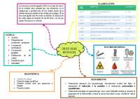 LEUCEMIA MIELOIDE AGUA - MAPA CONCEPTUAL