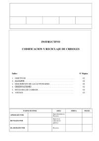 INSTRUCTIVO
CODIFICACION Y RECICLAJE DE CRISOLES