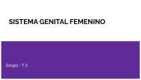 Sistema Genital Femenino