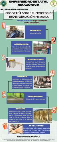 Proceso de transformación primaria de la madera
