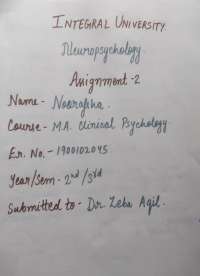 Cognitive Tendencies and Battery Treatment Approaches in Neuropsychology