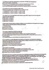 Choice cat 1 fisiología