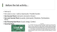Lab #6 covering practical information