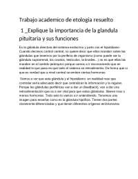 Importancia de la hipófisis y su función, hiperfunción y alteraciones - Prof. Encinas