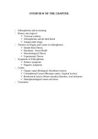 Overview of Schizophrenia: History, Theories, Symptoms, Causes, and Treatments