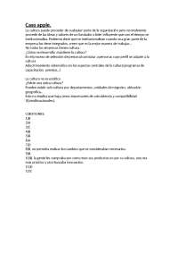 Práctica tema 4 Caso Apple