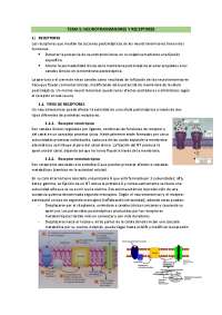 Neurotransmisores y Receptores: Función, Tipos y Sintesis - Prof. Rubio