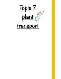 Topic 7 
plant 
transport