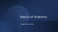 anatomy,human anatomy,anatomy and physiology,heart anatomy,anatomy & physiology,anatomy (f
