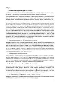 Sbobine Metallorganica, Prof.ssa Magda Monari, Dipartimento Ciamican Università di Bologna