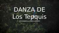 Danza de los Tepquis