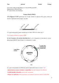 examen biologie moléculaire et génie génétique l3 microbiologie