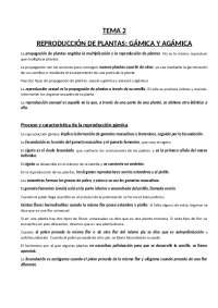 Reproduccion gamica y agamica de las plantas