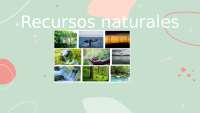 Recursos naturales: Tipos, clasificación y consecuencias de su sobreexplotación