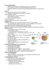 Mitschriften Mikrobiologie Ringvorlesung Biologie Uni Osnabrück