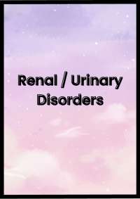 Understanding Kidney Function and Common Kidney Conditions