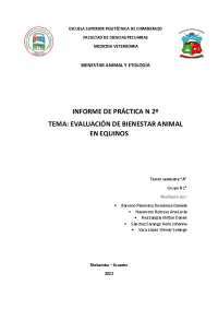Informe de Práctica: Evaluación de Bienestar Animal en Equinos
