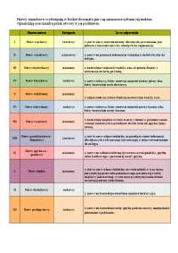 Nerwy czaszkowe anatomia