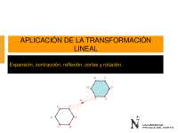 Aplicación de la Transformación Lineal: Expansión, Contracción, Reflexión y Rotación - Pro