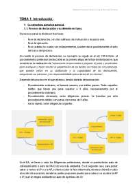Apuntes Derecho Procesal Penal Ana Eulalia Lucas Machi