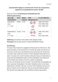 Protokoll Daniell Element