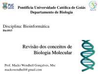 Revisão de Biologia Molecular: Conceitos de Ácidos Núcleicos e Estrutura do DNA