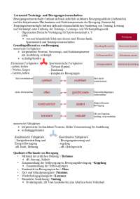 Bewegungs- und Trainingswissenschaften Lernzettel Semester 1
