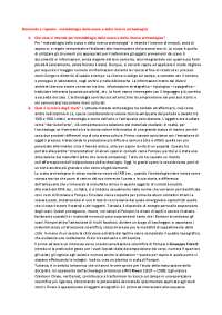 Domande e risposte - Metodologia dello scavo e della ricerca archeologica