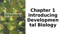 Introductory for Developmental Biology