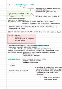 Domande Temi d'Esame