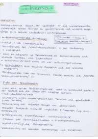 Sozialstaat: Definition, Prinzipien, Aufgaben, Herausforderungen und mehr!