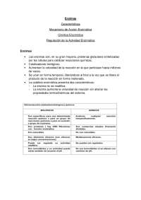 Enzimas: Características, Mecanismo de Acción y Regulación