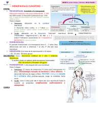 Menopausia y Climaterio: Guía Completa para la Salud Femenina