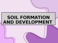Soil Formation and Development: Factors, Processes, and Parent Material Types