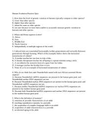 Human Evolution Practice Quiz