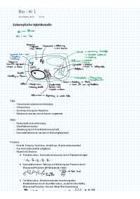 Zusammenfassung Biologie erstes Halbjahr