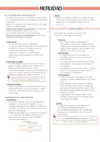 Motilidad del Sistema Gastrointestinal: Ondas Eléctricas y Movimientos Digestivos