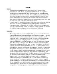 Understanding the Cytoskeleton and Cell Division: A Lab Report