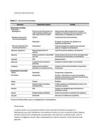 Estructura de las bacterias: Pared celular - Prof. Mejia Moreta