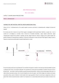 procesal penal apuntes