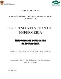 PAE DE SINDROME DE DIFICULTAD RESPIRATORA
