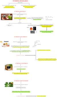 Le vitamine liposolubili