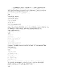 Anatomía y Funciones de los Órganos Reproductores Femeninos y Masculinos - Prof. Mira Gali